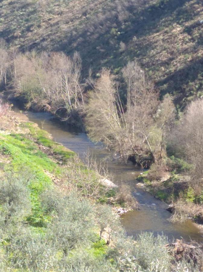 דירות Freixo de Espada à Cinta Congidouro מראה חיצוני תמונה